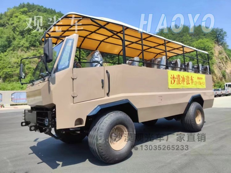 沙海逐光：沙漠观光车的驰骋与大漠盛景